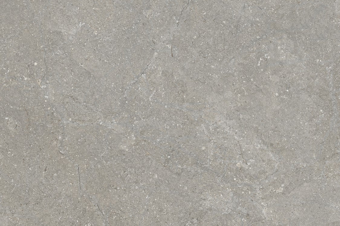 Close-up of a gray porcelain tile surface with subtle variations in tone, faint white veining, and a slightly rough texture, resembling natural concrete or polished cement.