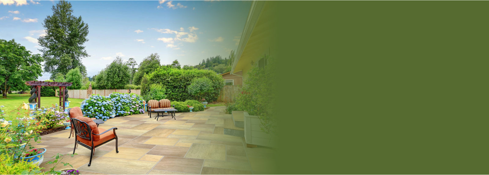 A spacious patio with metal chairs, a paved floor, blooming hydrangeas, and a lush green backyard under a blue sky, with the right side of the image fading into a solid olive green background.
